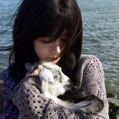 骇故事之凶宅 海报