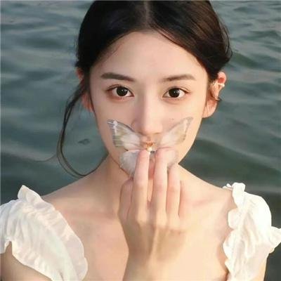 生病的动物 海报