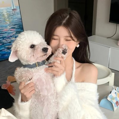 大小姐才不会玩格斗游戏 海报