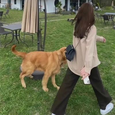美妙旋律第九季 海报